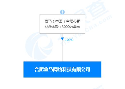 合肥盒馬網絡科技公司成立，注冊資本3000萬美元聚焦網絡信息技術